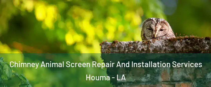  Chimney Animal Screen Repair And Installation Services Houma - LA