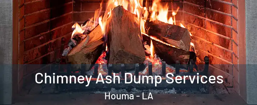  Chimney Ash Dump Services Houma - LA