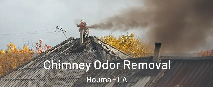  Chimney Odor Removal Houma - LA