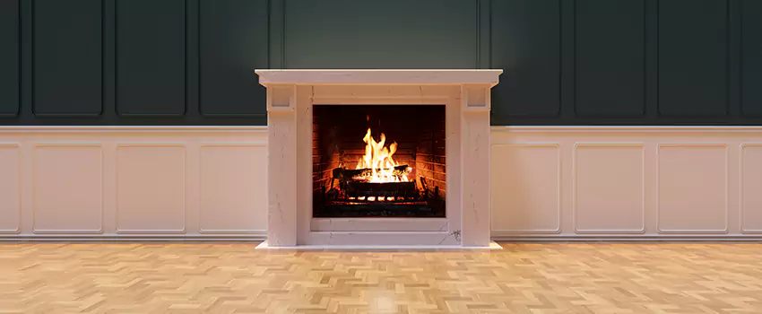 Napoleon Electric Fireplaces Inspection Service in Houma, Louisiana