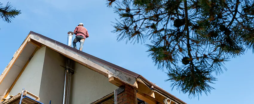 Birds Removal Contractors from Chimney in Houma, LA